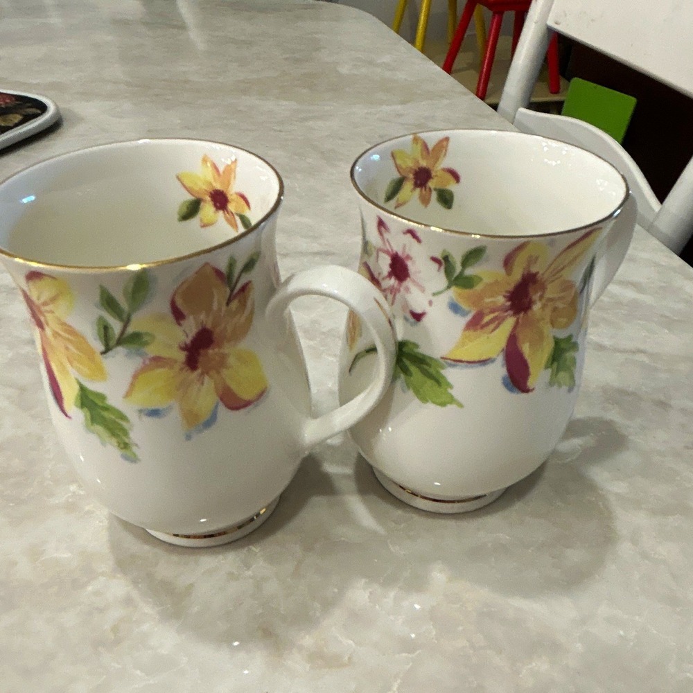 Pistachio United Kingdom Floral Decorated Ceramic Mugs Set of 2 White Gold